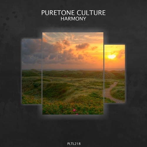 Puretone Culture - Harmony [PLTL218]